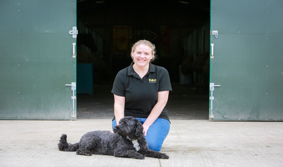 Starting a New System as an Animal Therapist: Why the Wobble Is Normal (And Worth It)